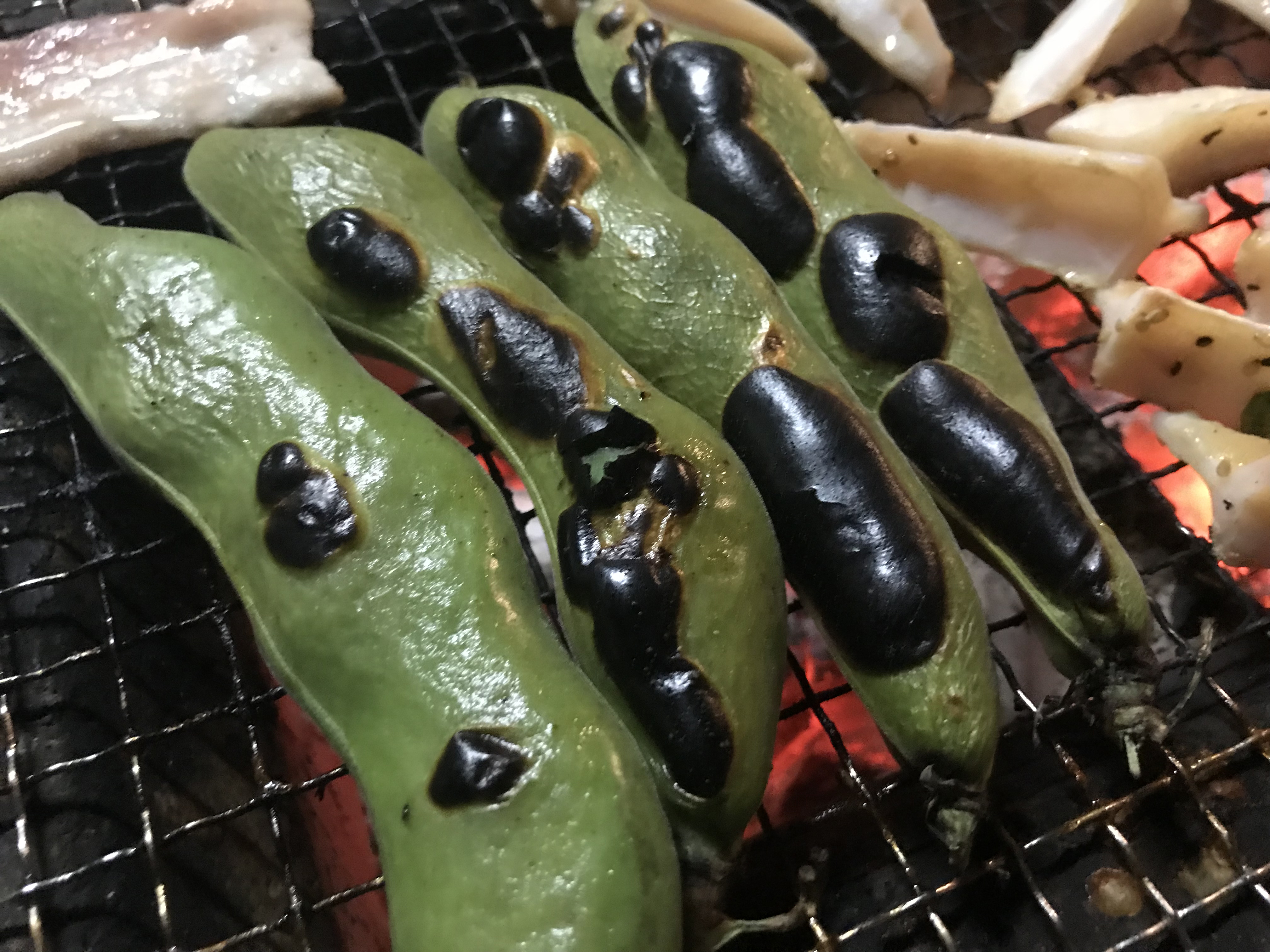 春が旬の そら豆 をbbqで皮ごと焼いたらビールのつまみに最高だった件 アウトドア ゴマダレ
